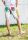 JUA Ocean short