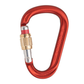 AustriAlpin HMS Rondo GI mit gate red und ID