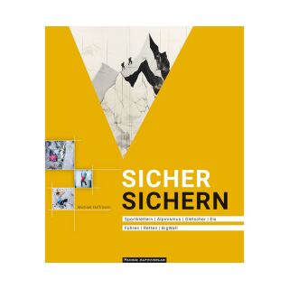 Panico Sicher sichern Lehrbuch